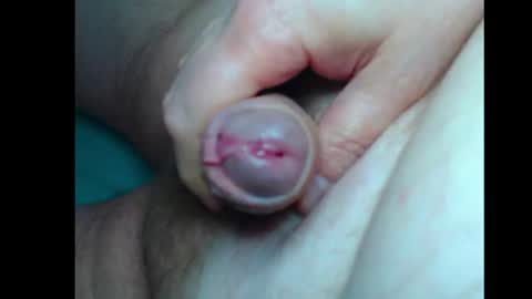 curious guy online show from June 2026 10:07:02 AM