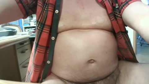 Circus Bear online show from January 2025 02:47:01 PM