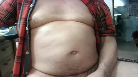 Circus Bear online show from February 2025 04:39:02 PM