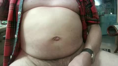 Circus Bear online show from February 2026 04:36:01 PM