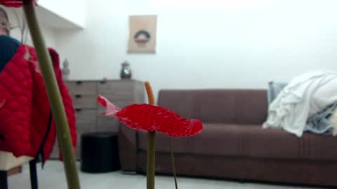 Deea xxx online show from December 2024 09:44:01 AM