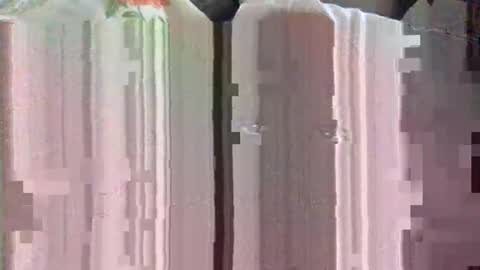 clubtm002 online show from April 2026 02:43:02 PM