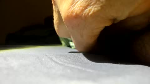 Snapshot of cmen420 chatting on January 2026 02:52:02 PM cmen420 online show from January 2026 02:52:02 PM