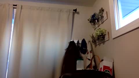 Snapshot of coachnta chatting on December 2025 09:54:01 PM COACH online show from December 2025 09:54:01 PM