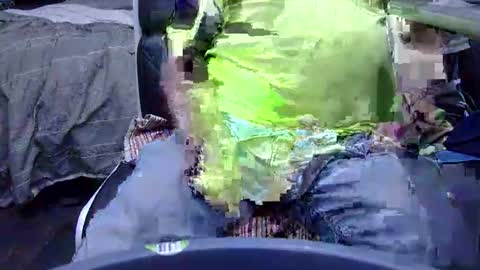 Coaste online show from February 2025 12:33:02 PM