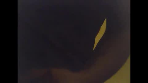 Snapshot of cobra1092 chatting on February 2026 06:01:02 AM cobra1092 online show from February 2026 06:01:02 AM