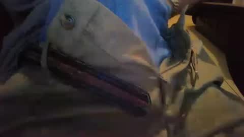 Snapshot of cocksmana chatting on January 2026 05:22:02 AM cocksmana online show from January 2026 05:22:02 AM