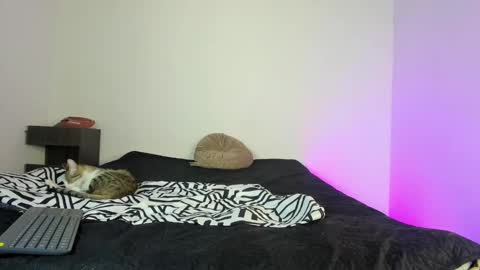 Snapshot of coddy_fit chatting on November 2025 01:49:02 PM cody online show from November 2025 01:49:02 PM