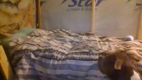 Snapshot of codmaster69 chatting on February 2026 10:33:01 AM lickerpro69 online show from February 2026 10:33:01 AM