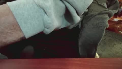 Snapshot of cody81421 chatting on January 2025 05:47:02 PM cody81421 online show from January 2025 05:47:02 PM