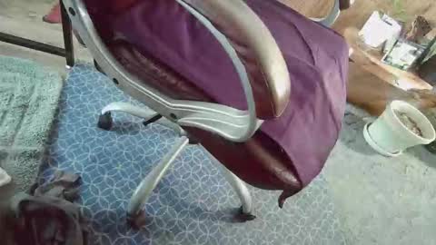 Snapshot of cody81421 chatting on January 2026 02:22:02 PM cody81421 online show from January 2026 02:22:02 PM