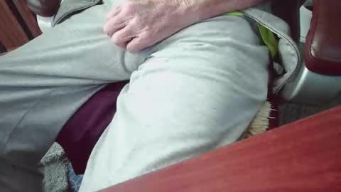 Snapshot of cody81421 chatting on January 2026 09:18:02 PM cody81421 online show from January 2026 09:18:02 PM