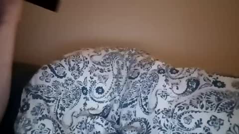 color233 online show from March 2025 08:56:02 AM