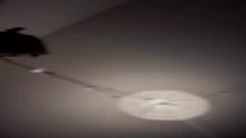 comefukme online show from August 2026 11:52:01 AM