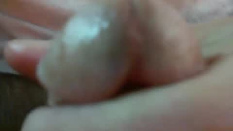 comox online show from February 2025 09:13:02 AM