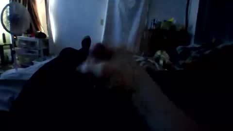 Snapshot of connlee10929154 chatting on January 2026 02:21:02 PM connlee10929154 online show from January 2026 02:21:02 PM