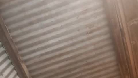 Jaiscookie cum play with me online show from February 2026 06:31:02 AM