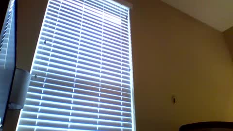 cooldude122222 online show from January 2025 05:41:01 PM