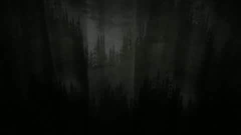 Cool Dude online show from December 2024 10:08:02 PM