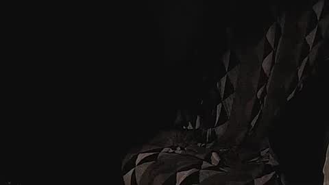 ChoveEnArrakis online show from January 2025 01:04:01 AM