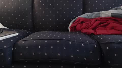 Snapshot of copper_crotch chatting on November 2025 12:09:01 AM copper_crotch online show from November 2025 12:09:01 AM