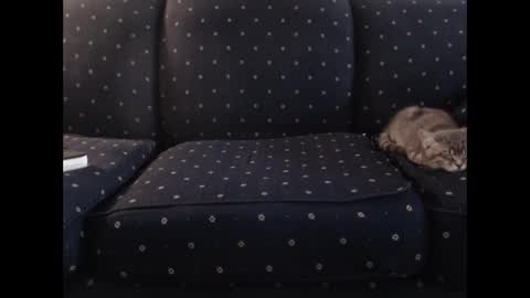 Snapshot of copper_crotch chatting on December 2025 01:34:01 AM copper_crotch online show from December 2025 01:34:01 AM