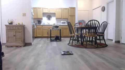 Snapshot of copper_crotch chatting on January 2026 01:43:01 AM copper_crotch online show from January 2026 01:43:01 AM