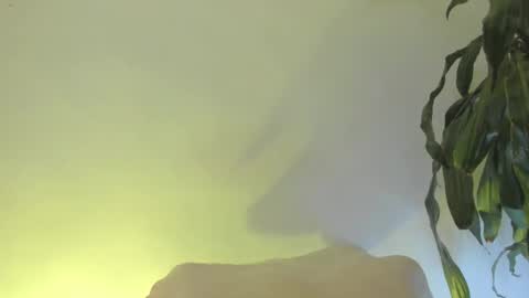 Coral princex online show from February 2026 06:26:01 AM