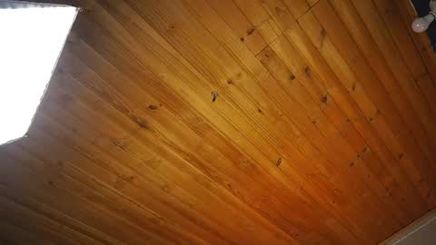 Coraline online show from April 2026 12:55:01 PM