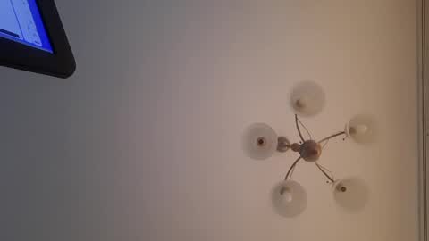 Corvus online show from December 2024 12:52:02 PM