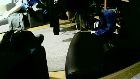 Snapshot of coyote017 chatting on January 2025 06:09:01 AM coyote017 online show from January 2025 06:09:01 AM