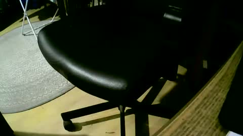 Snapshot of coyote017 chatting on February 2025 07:14:01 PM coyote017 online show from February 2025 07:14:01 PM