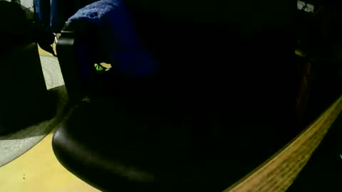 Snapshot of coyote017 chatting on November 2025 07:49:02 PM coyote017 online show from November 2025 07:49:02 PM