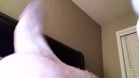 Snapshot of cranada777 chatting on December 2024 01:04:02 AM Cranada777 online show from December 2024 01:04:02 AM