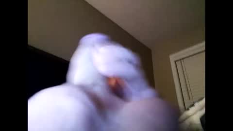 Snapshot of cranada777 chatting on February 2025 01:21:01 PM Cranada777 online show from February 2025 01:21:01 PM