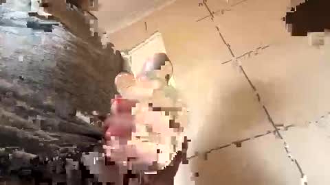 creature272 online show from April 2026 09:13:01 AM