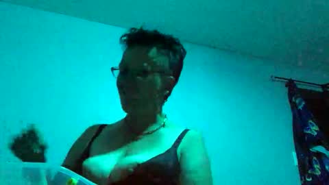 Tulip online show from June 2026 06:04:01 AM