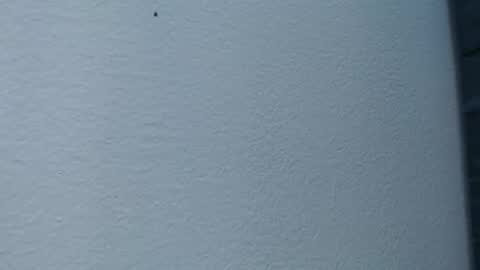 Snapshot of cristal_smith06 chatting on February 2025 06:02:01 AM Hanna online show from February 2025 06:02:01 AM