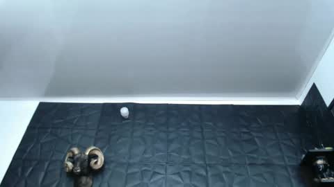 Snapshot of cristal_smith06 chatting on February 2025 05:56:02 AM Hanna online show from February 2025 05:56:02 AM