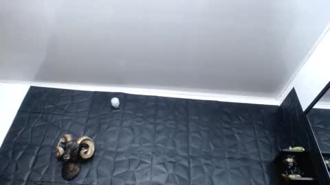 Snapshot of cristal_smith06 chatting on November 2025 04:38:01 AM Hanna online show from November 2025 04:38:01 AM