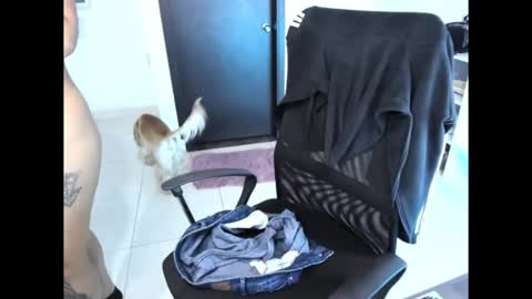 cristinasweet7 online show from November 2025 03:32:02 AM