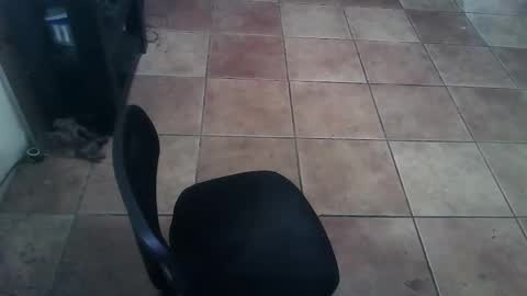 Snapshot of crossdressernola504 chatting on February 2026 06:29:02 PM crossdressernola504 online show from February 2026 06:29:02 PM