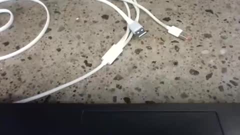 Snapshot of cruelworldxxx chatting on February 2026 10:52:02 PM cruelworldxxx online show from February 2026 10:52:02 PM