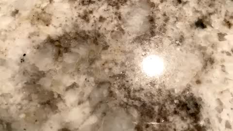 Snapshot of crushit chatting on February 2025 07:13:02 AM Crushit online show from February 2025 07:13:02 AM