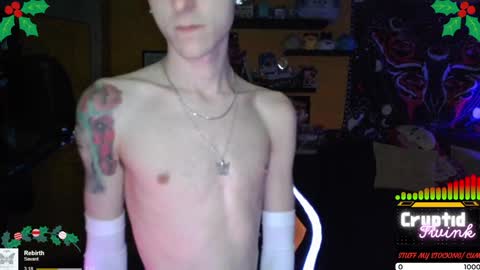 CryptidTwink online show from December 2024 04:55:01 AM