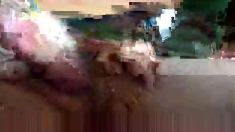 cubforotter online show from October 2025 06:51:02 PM