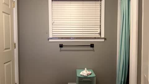 ConCon online show from February 2025 03:50:01 AM