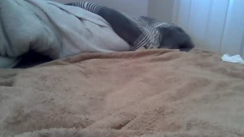 cummbumm69 online show from July 2026 10:28:02 AM
