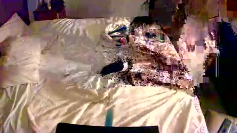 Snapshot of cummerforyouu chatting on February 2026 10:33:01 AM Mike Smalls online show from February 2026 10:33:01 AM