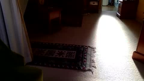 Snapshot of cumonherguys chatting on October 2025 08:29:02 AM cumonherguys online show from October 2025 08:29:02 AM